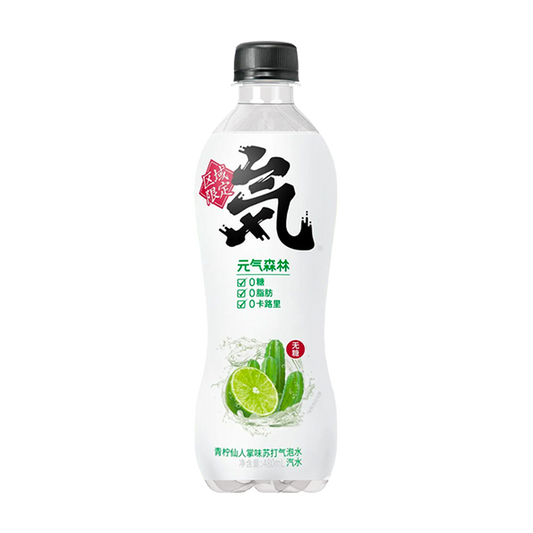 CHI FOREST Sparkling Water Lime Cactus 480ml